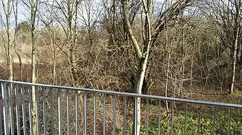 Apartmanhotel Schaefer Boardinghouse Gröbenzell